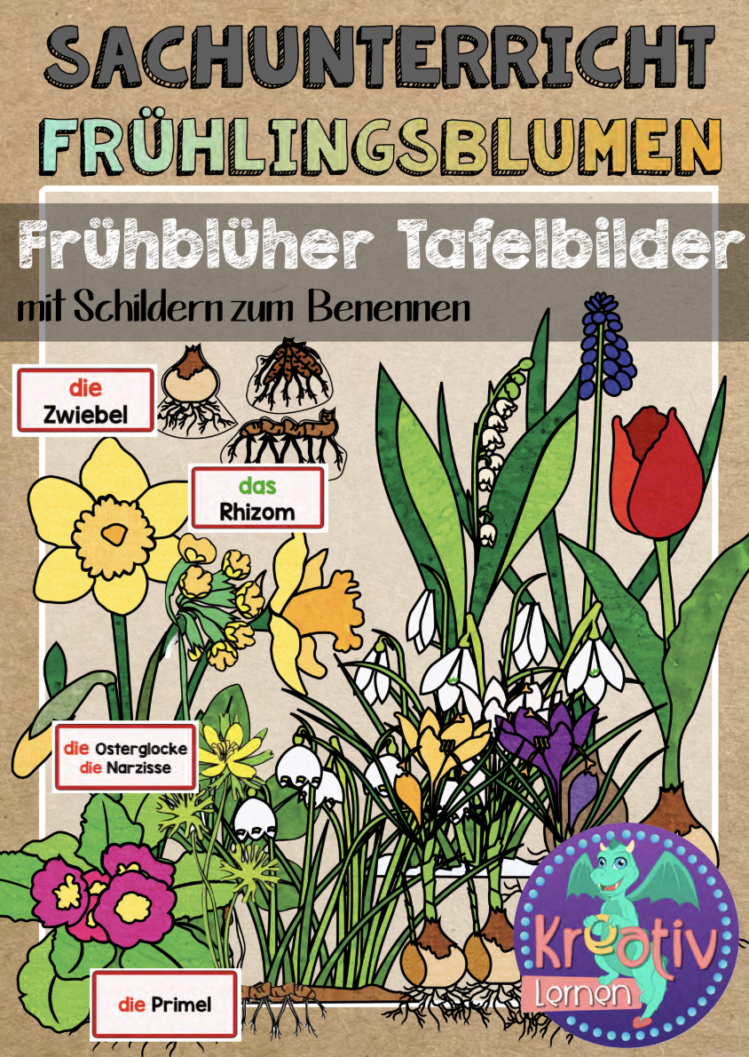 Klassenzimmer Pinnwand-Set – Baum Mit 98 Herzen, Bulletin Board Dekoration Für Kindergarten & Grundschule